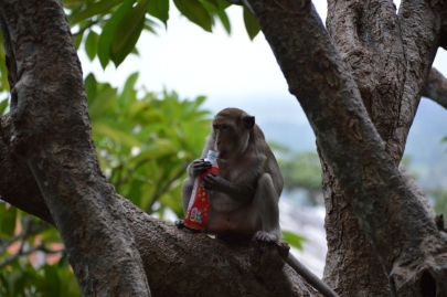 pranakorn-kiri-historical-park (22)