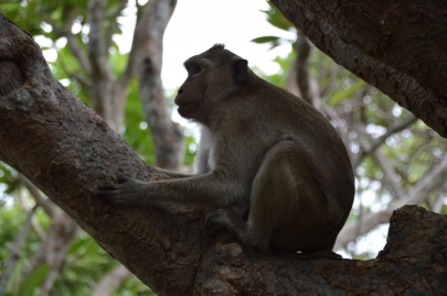 pranakorn-kiri-historical-park (23)