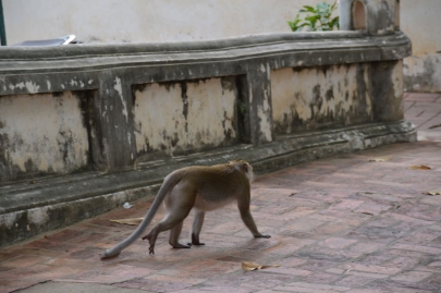 pranakorn-kiri-historical-park (26)