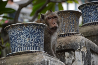 pranakorn-kiri-historical-park (30)