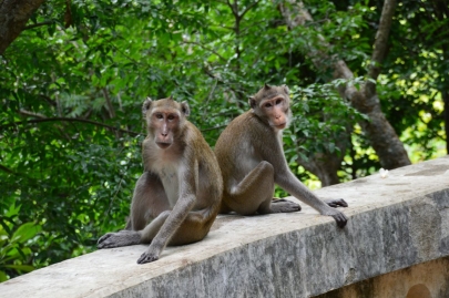 pranakorn-kiri-historical-park (56)