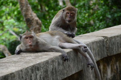 pranakorn-kiri-historical-park (61)