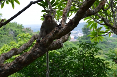 pranakorn-kiri-historical-park (64)