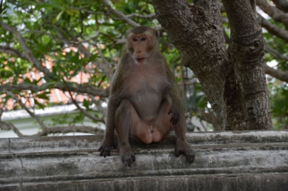 pranakorn-kiri-historical-park (8)