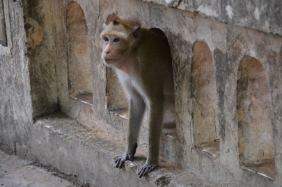 pranakorn-kiri-historical-park (92)