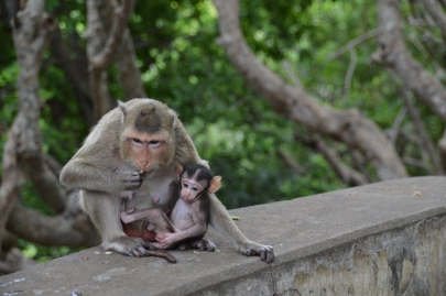 pranakorn-kiri-historical-park (93)