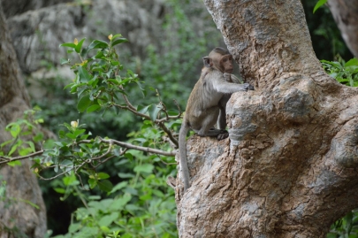 pranakorn-kiri-historical-park (97)