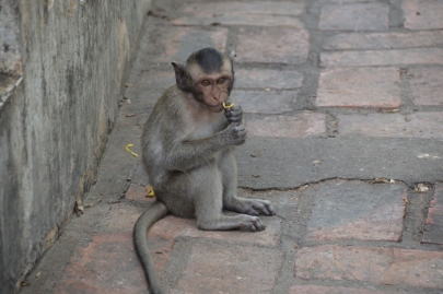pranakorn-kiri-historical-park (99)
