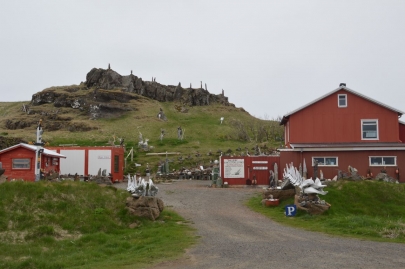 roadtrip-cote-est-islande (121)