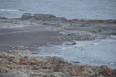 roadtrip-cote-est-islande (147)