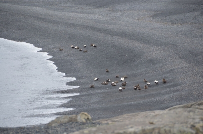 roadtrip-cote-est-islande (153)