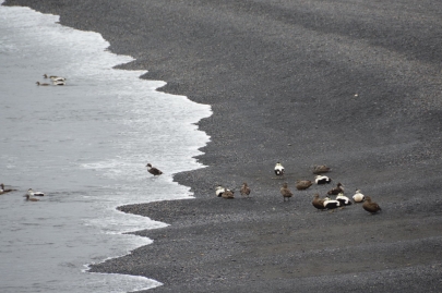 roadtrip-cote-est-islande (158)