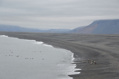 roadtrip-cote-est-islande (159)