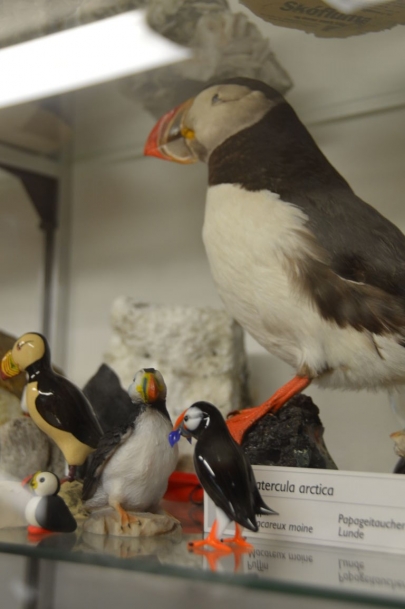 roadtrip-cote-est-islande (58)