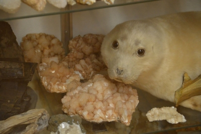 roadtrip-cote-est-islande (63)