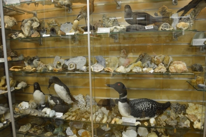 roadtrip-cote-est-islande (66)