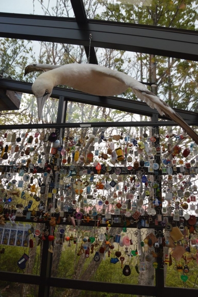 roadtrip-cote-est-islande (67)