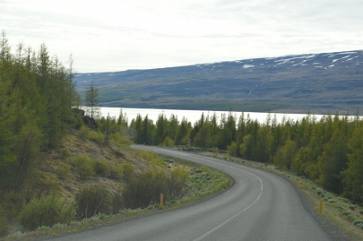 roadtrip-islande-est (55)