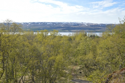 roadtrip-islande-est (66)