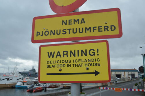 un-jour-a-reykjavik (131)