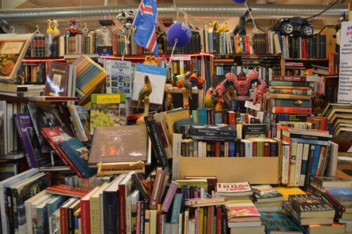 un-jour-a-reykjavik (71)