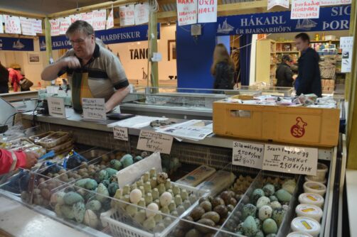 un-jour-a-reykjavik (72)