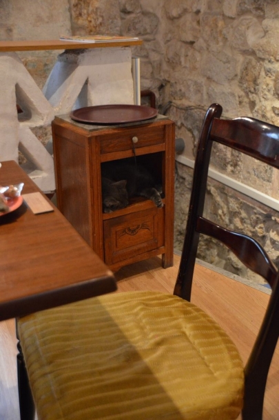 cafedeschats-paris (37)