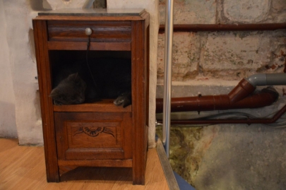 cafedeschats-paris (9)