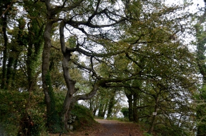 game-of-throne-tour-irlande-nord (142)