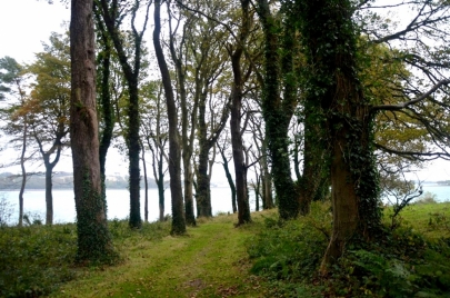 game-of-throne-tour-irlande-nord (150)