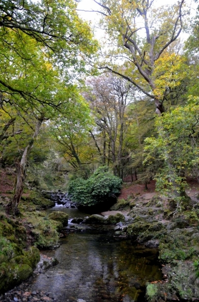 game-of-throne-tour-irlande-nord (26)