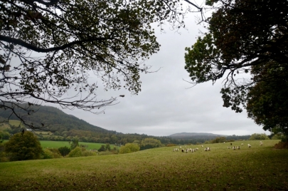 game-of-throne-tour-irlande-nord (31)