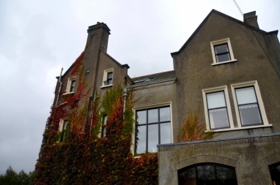 game-of-throne-tour-irlande-nord (32)