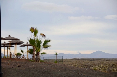 origo-mare-furerteventura (172)