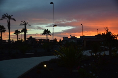 origo-mare-furerteventura (216)