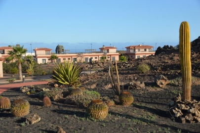 origo-mare-furerteventura (247)