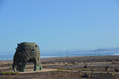 origo-mare-furerteventura (280)