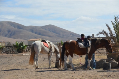 promenade-cheval-fuerteventura (10)