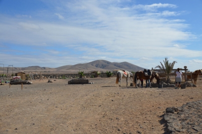 promenade-cheval-fuerteventura (11)