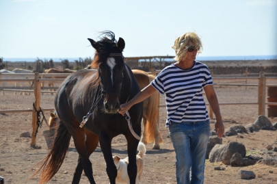 promenade-cheval-fuerteventura (14)