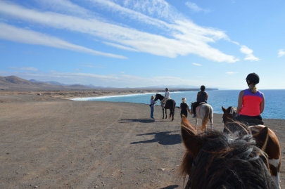 promenade-cheval-fuerteventura (30)