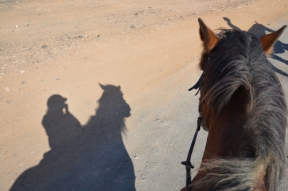 promenade-cheval-fuerteventura (54)