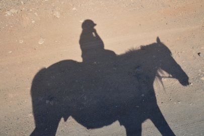 promenade-cheval-fuerteventura (57)