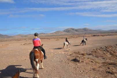 promenade-cheval-fuerteventura (61)