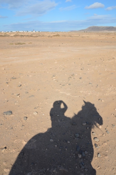 promenade-cheval-fuerteventura (64)