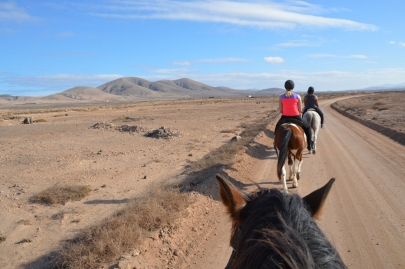 promenade-cheval-fuerteventura (68)