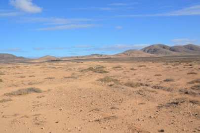 promenade-cheval-fuerteventura (70)