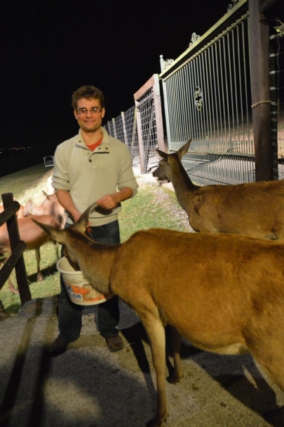 rochehaut-sur-semois (107)