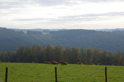 rochehaut-sur-semois (121)