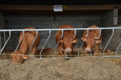 rochehaut-sur-semois (123)